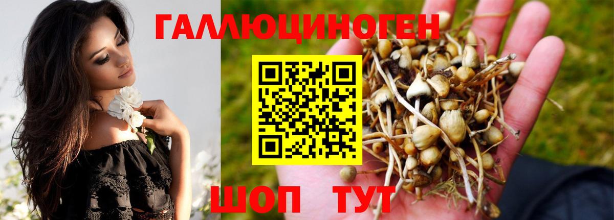 хочу   Вход с VPN  Норильск  Галлюциногенные грибы мухоморы  Галлюциногенные грибы мицелий 